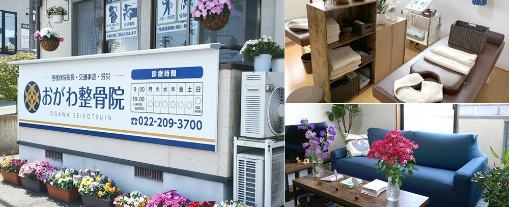 おがわ整骨院写真