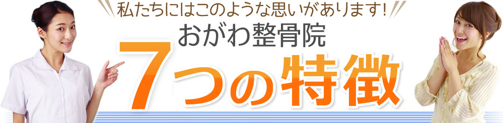 太白区おがわ整骨院 6つの特徴